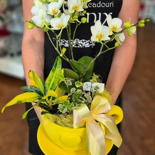 Cadou floral pentru sărbători