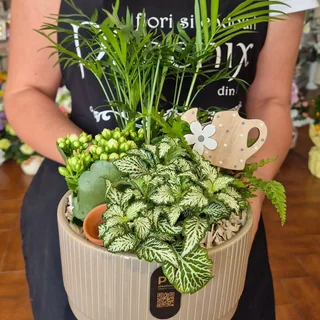 Selecție sezonieră Florăria Phoenix