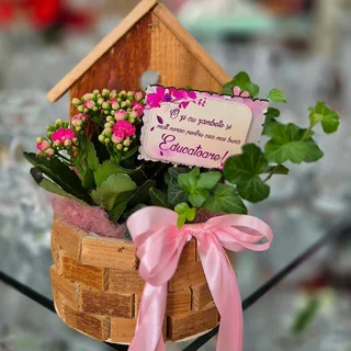 Plante verzi decorative