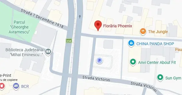 Hartă Florăria Phoenix Botoșani - Str. 1 Decembrie 1918 Nr. 19, Botoșani