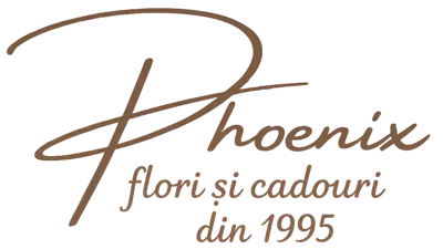 Video prezentare Florăria Phoenix